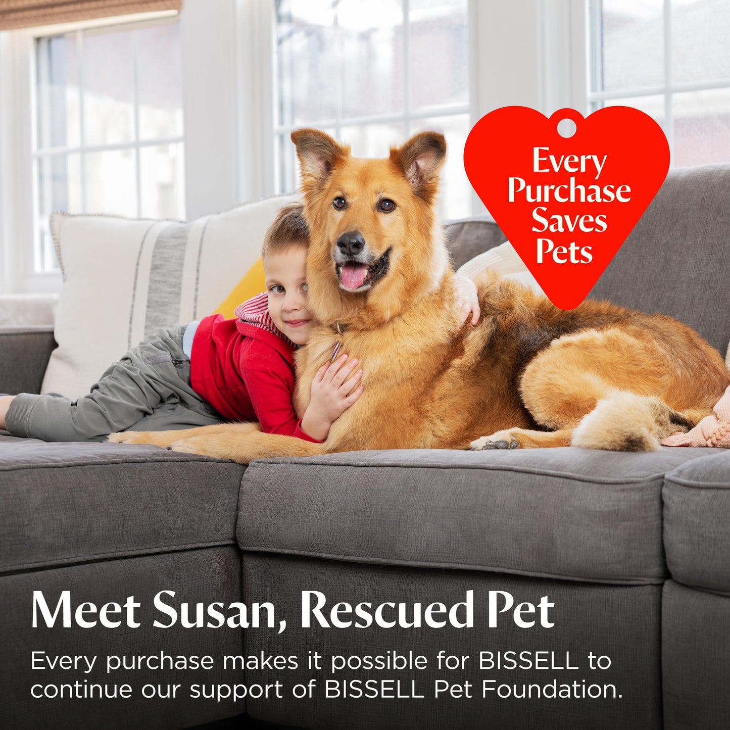 Bissell Multi-Surface Solution, for use in CrossWave and Other Leading Hard Surface and Area Rug Cleaners, 80oz, Dissolves Dirt, Grime, and Tough Sticky Messes