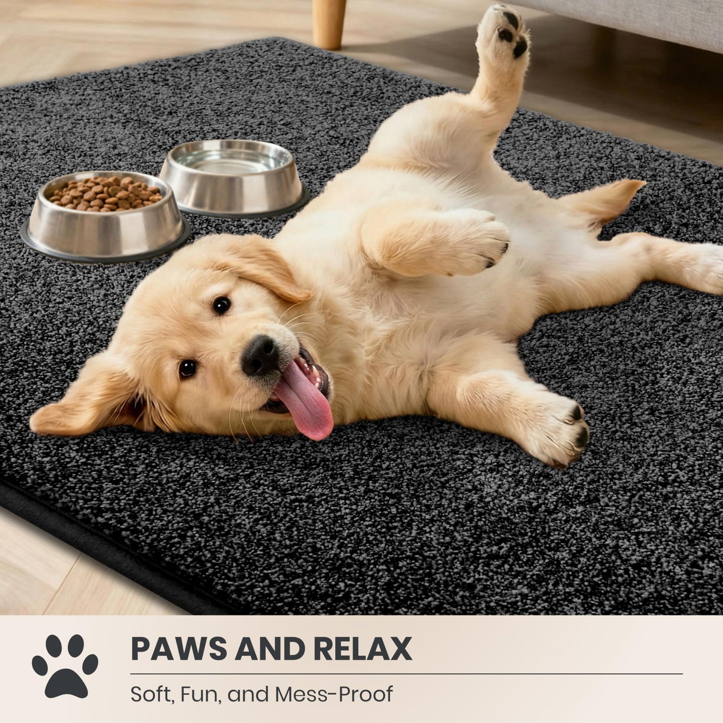 PURRUGS Dirt Trapping Door Mat 31.5" x 47", Non-Slip Machine Washable Entryway Rug, Dog Doormat, Indoor Front Door Mat, Super Absorbent Entry Rug for Muddy Shoes & Paws, Charcoal