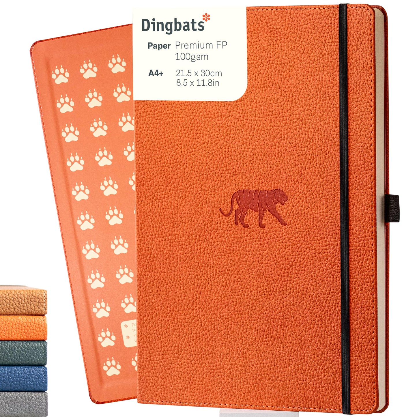 A4+ Orange Tiger Graph (Wildlife)
