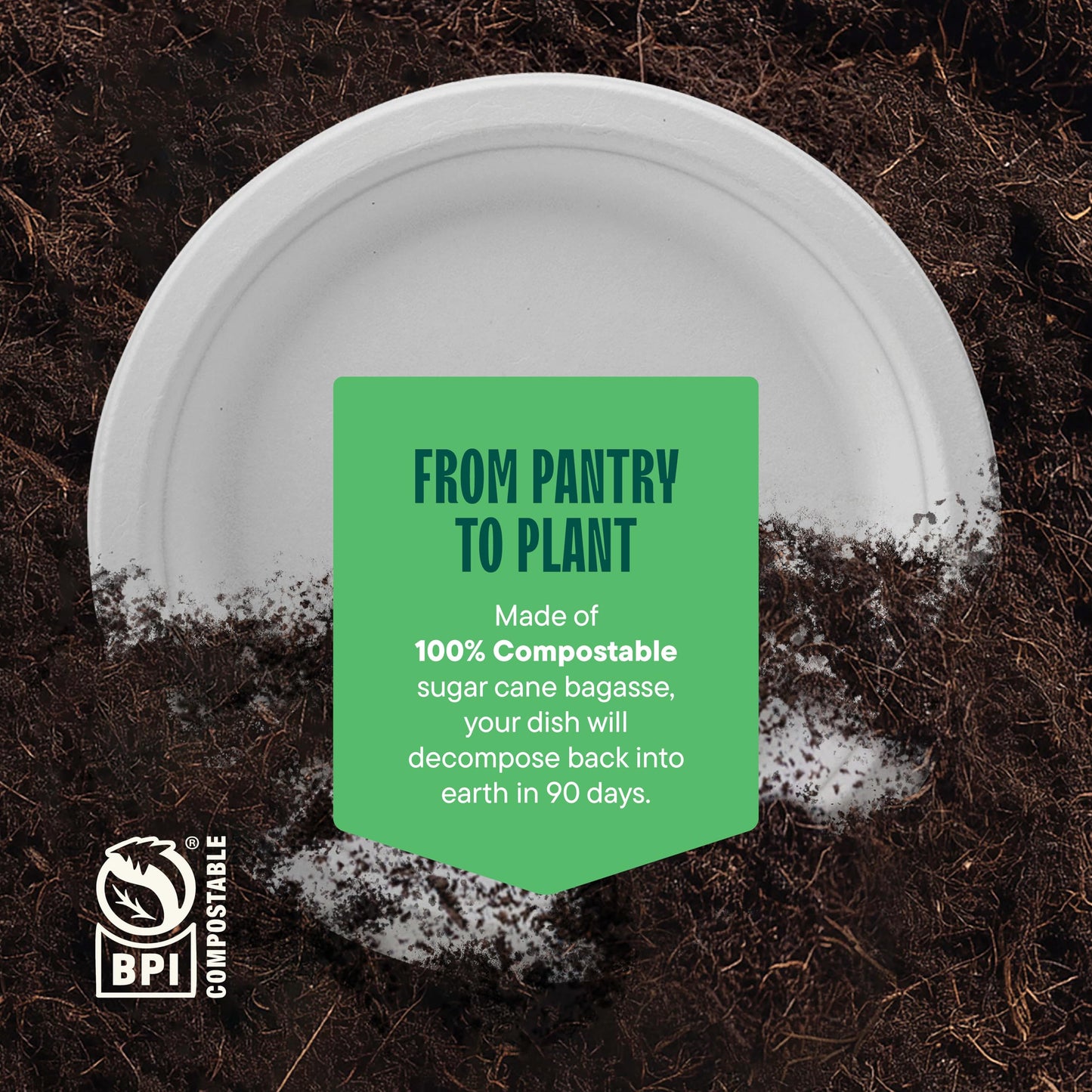100% Compostable Disposable Paper Plates [125-Pack] - (PFAS-Free) - [10 Inch] Heavy Duty, Eco-Friendly, Biodegradable Bagasse Dinner Plates - Natural Brown 10" Plate by Stack Man (BPI Certified)
