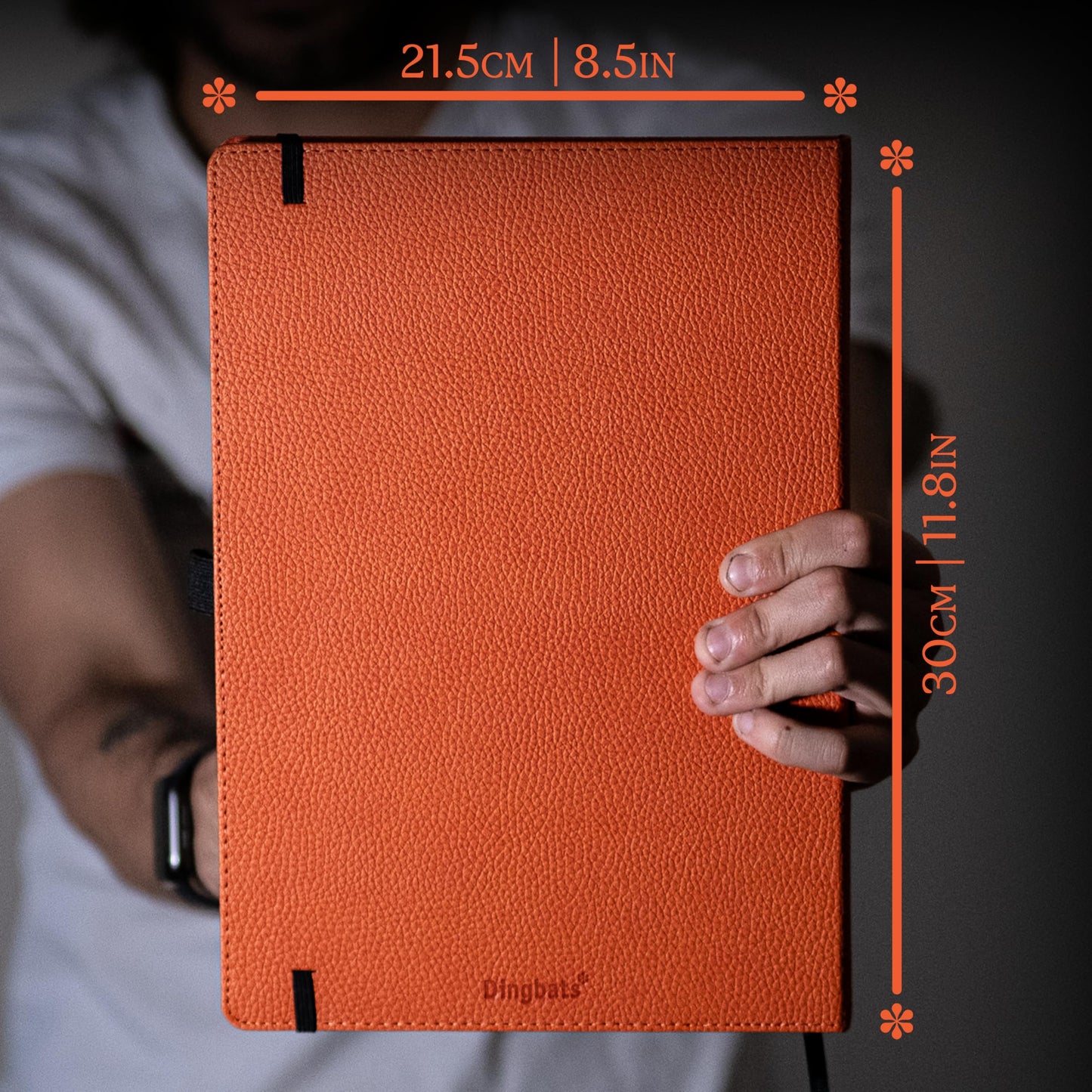 A4+ Orange Tiger Graph (Wildlife)