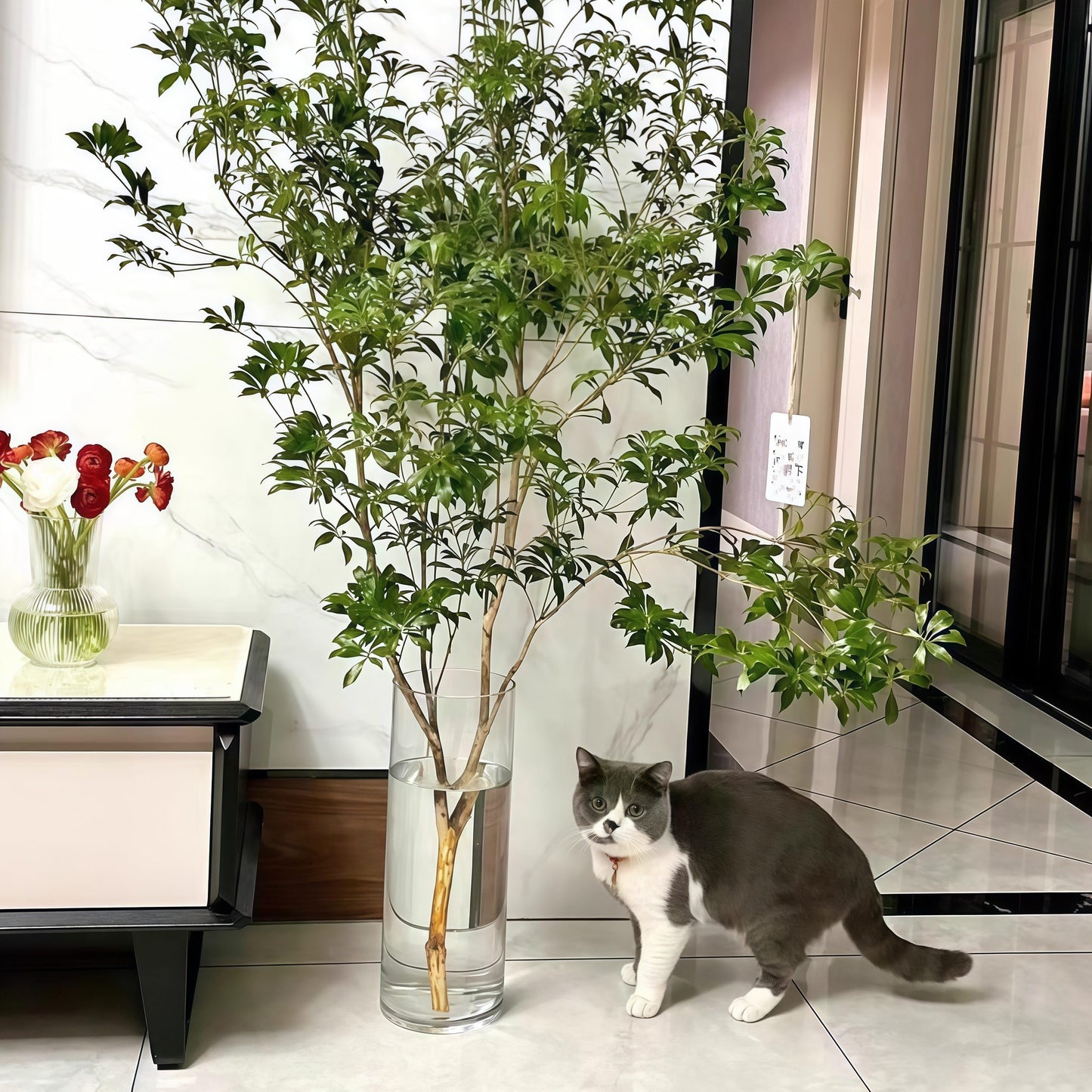 Liotww Extra Large Acrylic Cylinder Clear Vase for Floor, 20 in Tall Big Wide Mouth Plastic Unbreakable Hurricane Flower Vases of 3 for Home Decor (D 8", D 6", D 4.8" + 2 Holder)