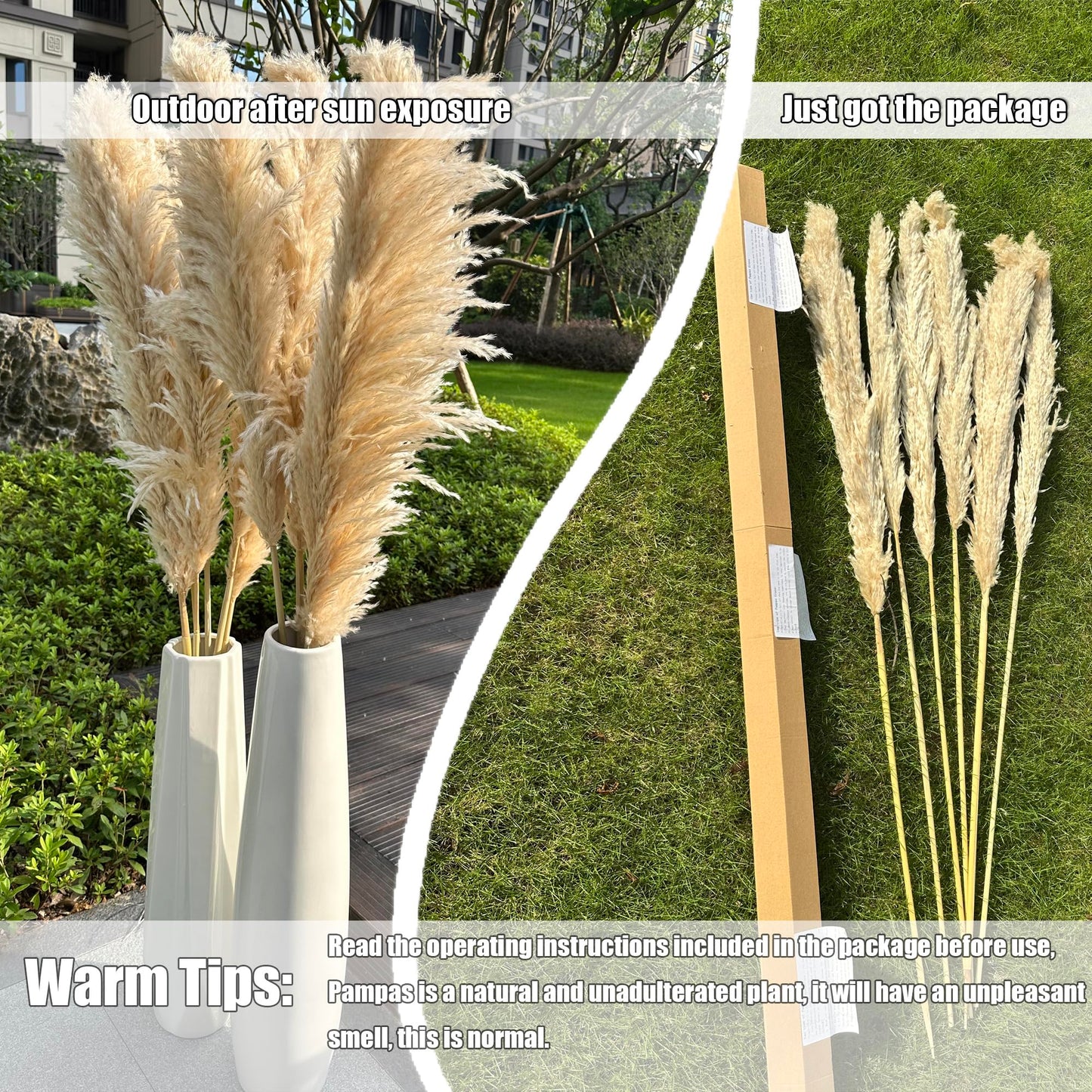 55" inch Scarcity Natural Pampas Grass Decor Tall, pompas Grass, Tall Pampas Grass for Wedding, Party, Farmhouse, Boho Home Decor