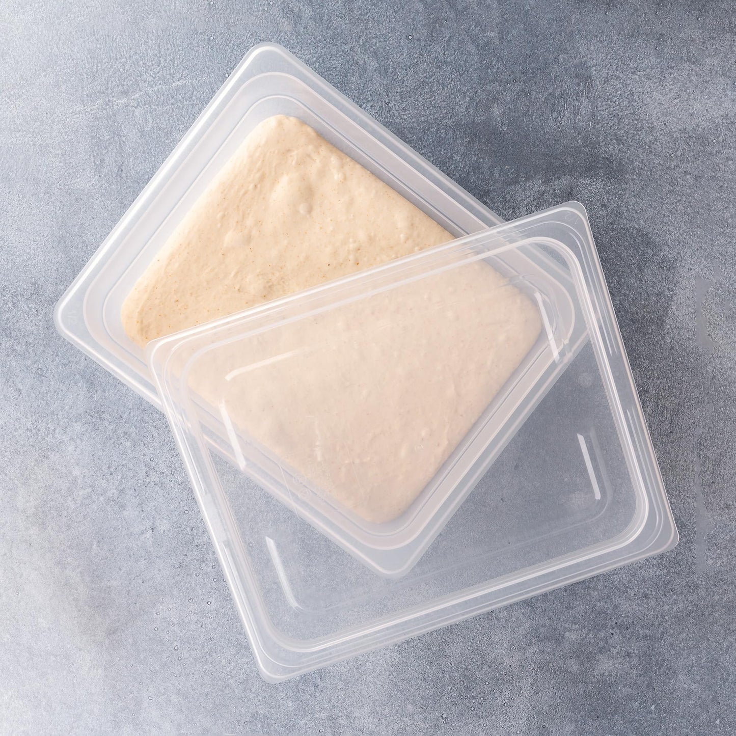 Brod & Taylor Proofing Container (2 Pack) With 6L Capacity, Fits Up to 3000 Grams of Dough – Dough Rising Box for Bread, Sourdough & Pizza (Dishwasher Safe, BPA-Free)