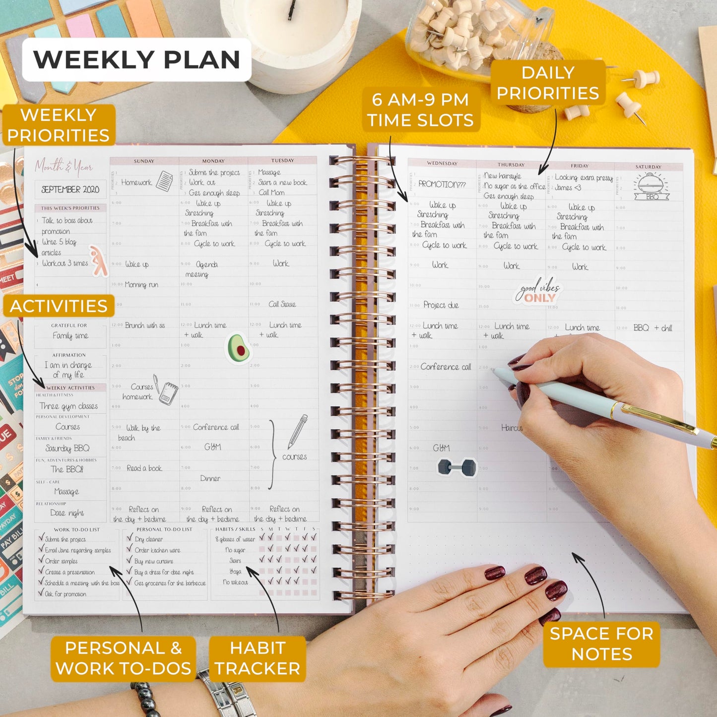 PLANBERRY Large Hourly Schedule Planner Premium – Undated Organizer for Productivity, Time Management & Budget, 8x10.4″ (Rose Gold)