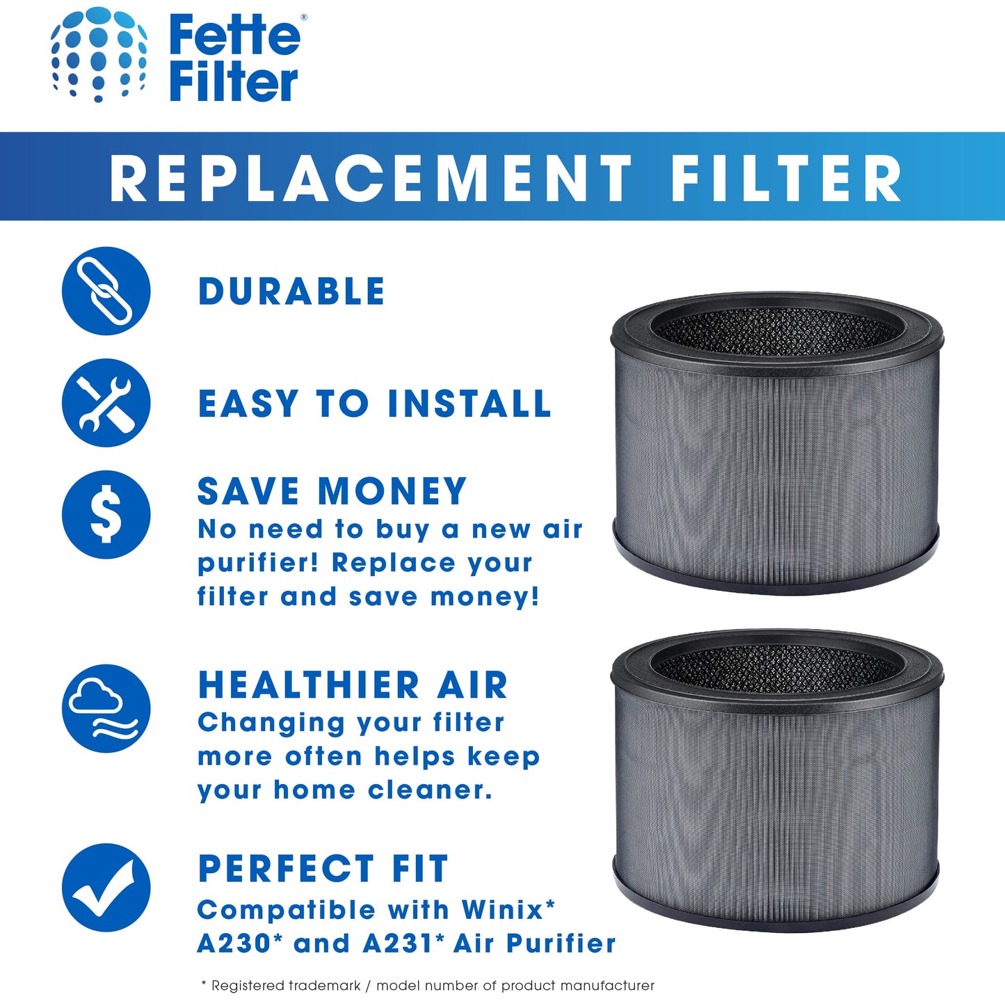 Fette Filter - 2 Premium True Hepa H13 Replacement Filter Size O Compatible with Winix Air Purifier Model A230 A231 Compare to Part # 1712-0110-00, 1712011000