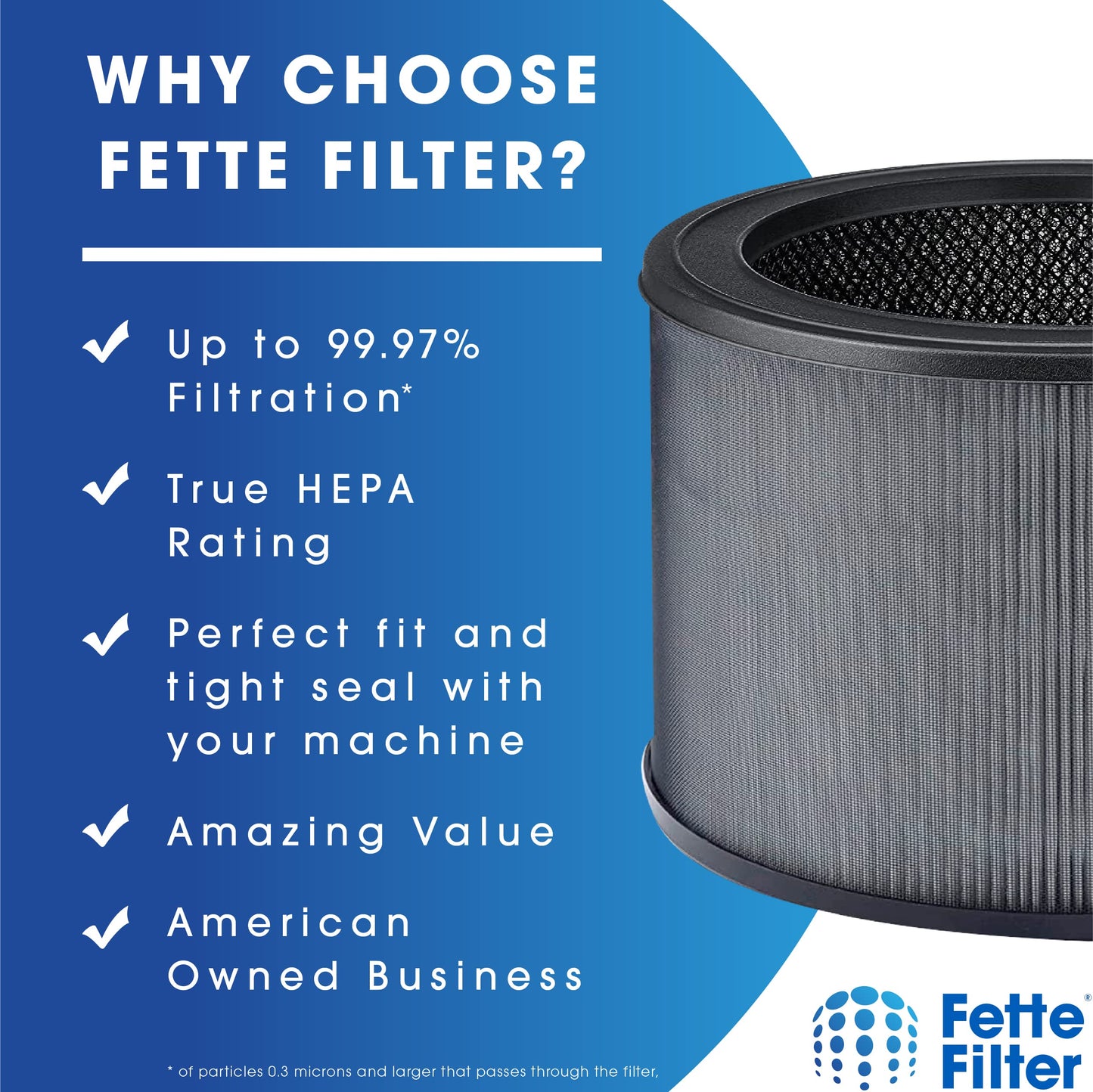 Fette Filter - 2 Premium True Hepa H13 Replacement Filter Size O Compatible with Winix Air Purifier Model A230 A231 Compare to Part # 1712-0110-00, 1712011000