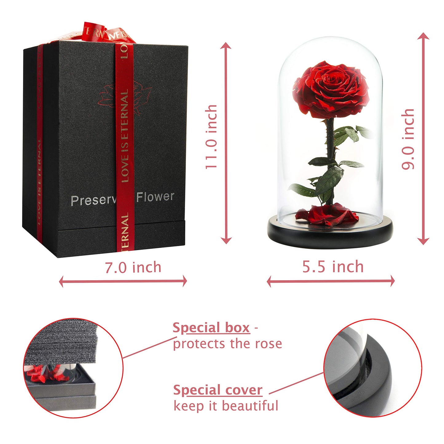 LOVAPPY Forever Preserved Rose - Eternal Rose in Glass Dome - Beauty and the Beast Rose - Mothers Day Gifts For Mom - Fresh Flowers in Glass (Red, 9 Inch)