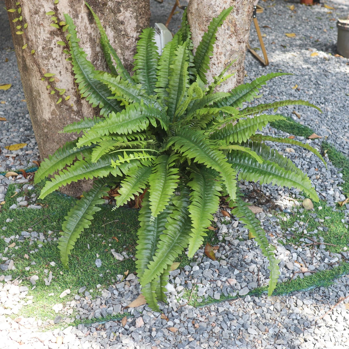 zooFernzoom Artificial Ferns for Outdoors & Indoors, 45in Large Fake Ferns Plants with 55 Fronds & Fiddlehead - 2 Stems Looks Real Faux Fern Greenery for Porch Garden Home Office Decor