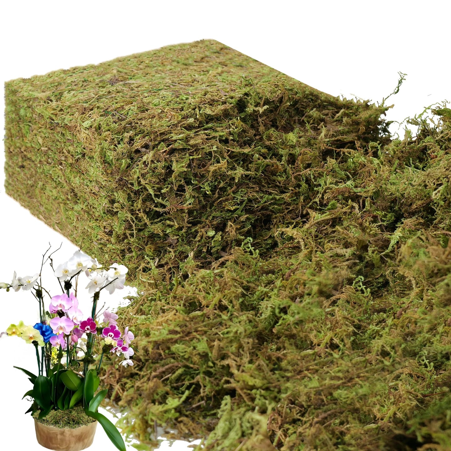 BYHER 2.2LB Large Capacity Fake Moss for Plants Indoor, 35 OZ Fresh Green Moss for Potted Plants Craft Moss for Home & Office Decor Fairy Garden Decoration (Fresh Green - 992gr)