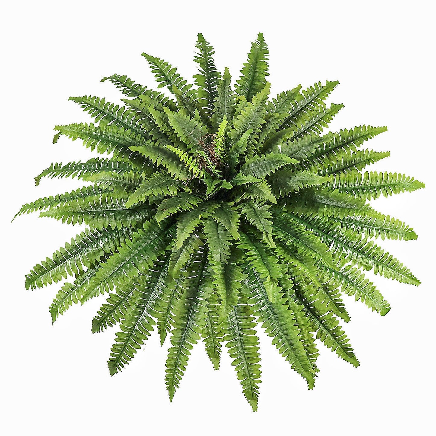 zooFernzoom Artificial Ferns for Outdoors & Indoors, 51in Large Fake Ferns Plants, Artificial Boston Fern Faux Greenery for Porch Entrance Home Decor